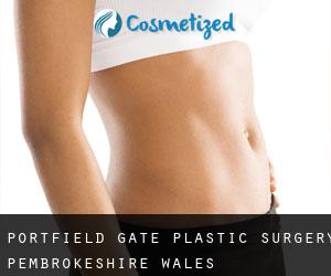 Portfield Gate plastic surgery (Pembrokeshire, Wales)