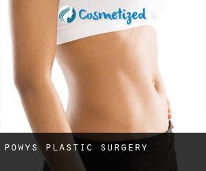 Powys plastic surgery