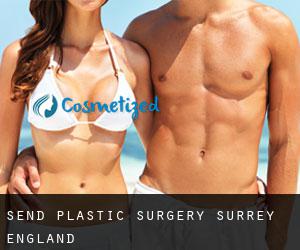 Send plastic surgery (Surrey, England)