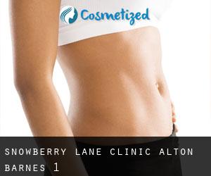 Snowberry Lane Clinic (Alton Barnes) #1