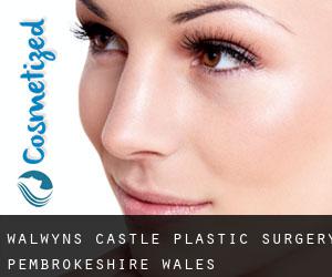Walwyn's Castle plastic surgery (Pembrokeshire, Wales)